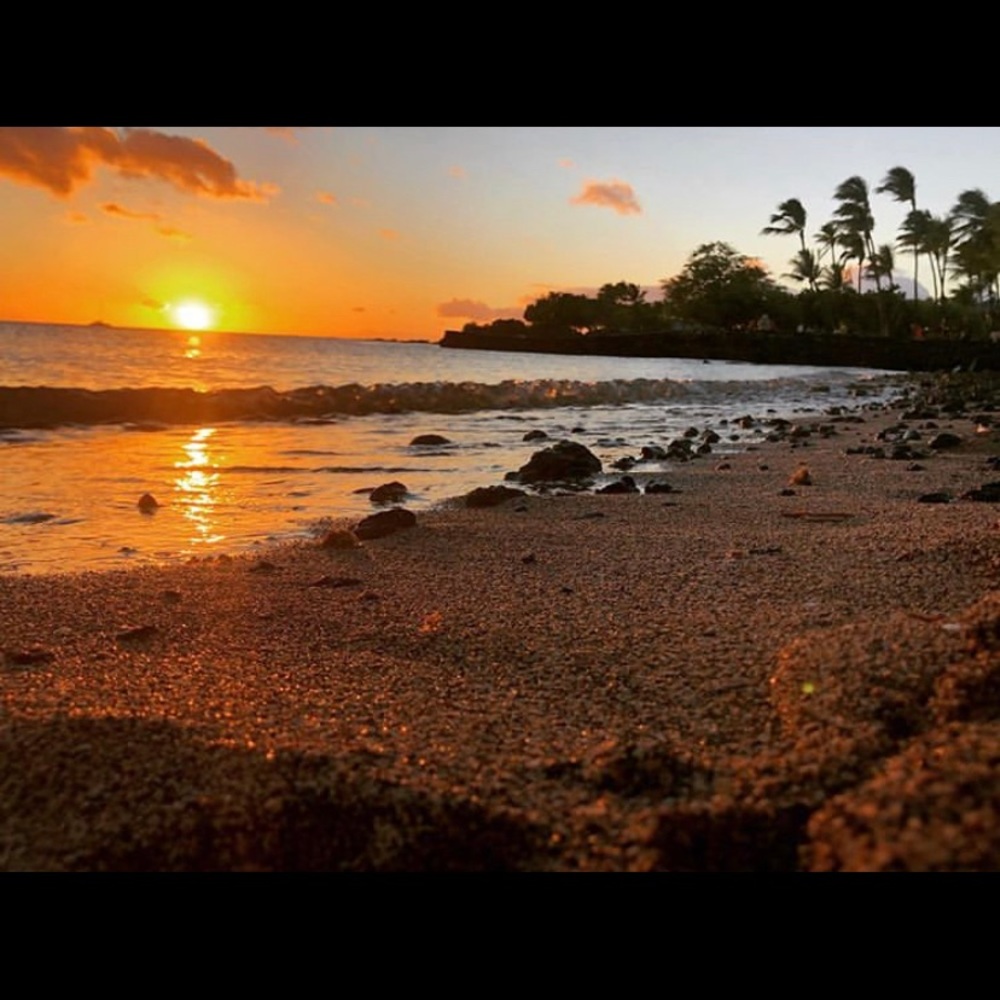 Meet your Posher, Miki